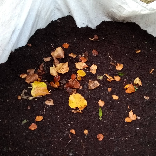 A large bag containing two year old leaf mould
